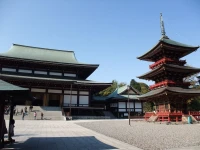 International Guesthouse AZURE Narita 1*