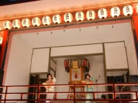 Kinugawa Plaza Hotel 4*