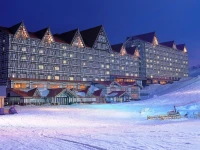 Hotel Green Plaza Hakuba 3*