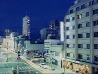 Takamatsu Terminal Hotel 3*