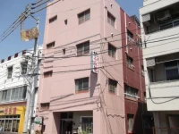 Hotel Sanyuso 2*