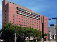 Toyama Manten Hotel 3*