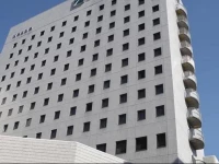 Chisun Hotel Utsunomiya 3*