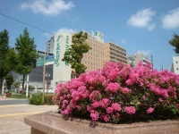 Kuretake Inn Act Hamamatsu 4*