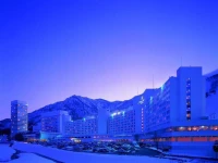 Naeba Prince Hotel 3*