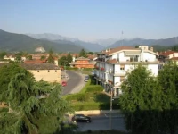 Quadrifoglio 4*