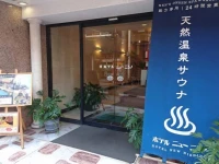 Hotel New Nishino 3*