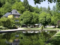 Auberge Du Moulin Hideux 