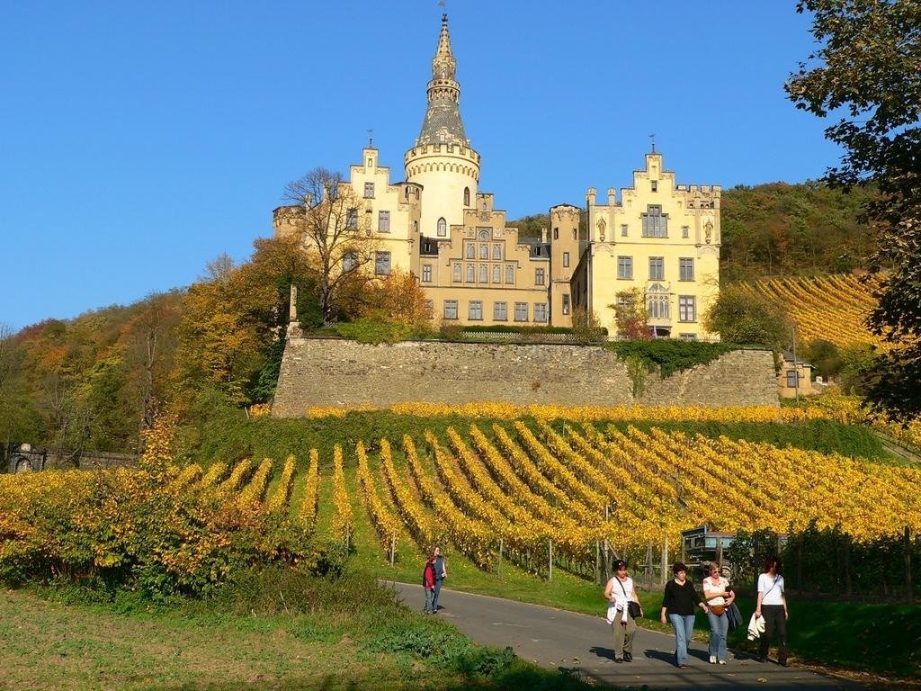Zur Rheinschanz 2*