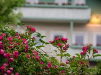 Gartenhotel Salzach 