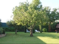 Landsitz Rugen 