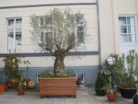 Hotel am Kastell 