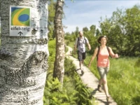 Hotel Zum Goldenen Fasschen 