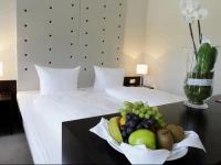 Friendly Cityhotel Oktopus 