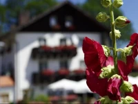 Hotel Waldschloessl 