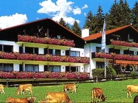 Farchanter Alm 