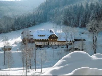 Waldhotel Fehrenbach 