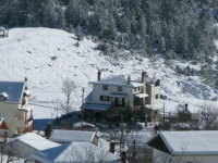 Kania 