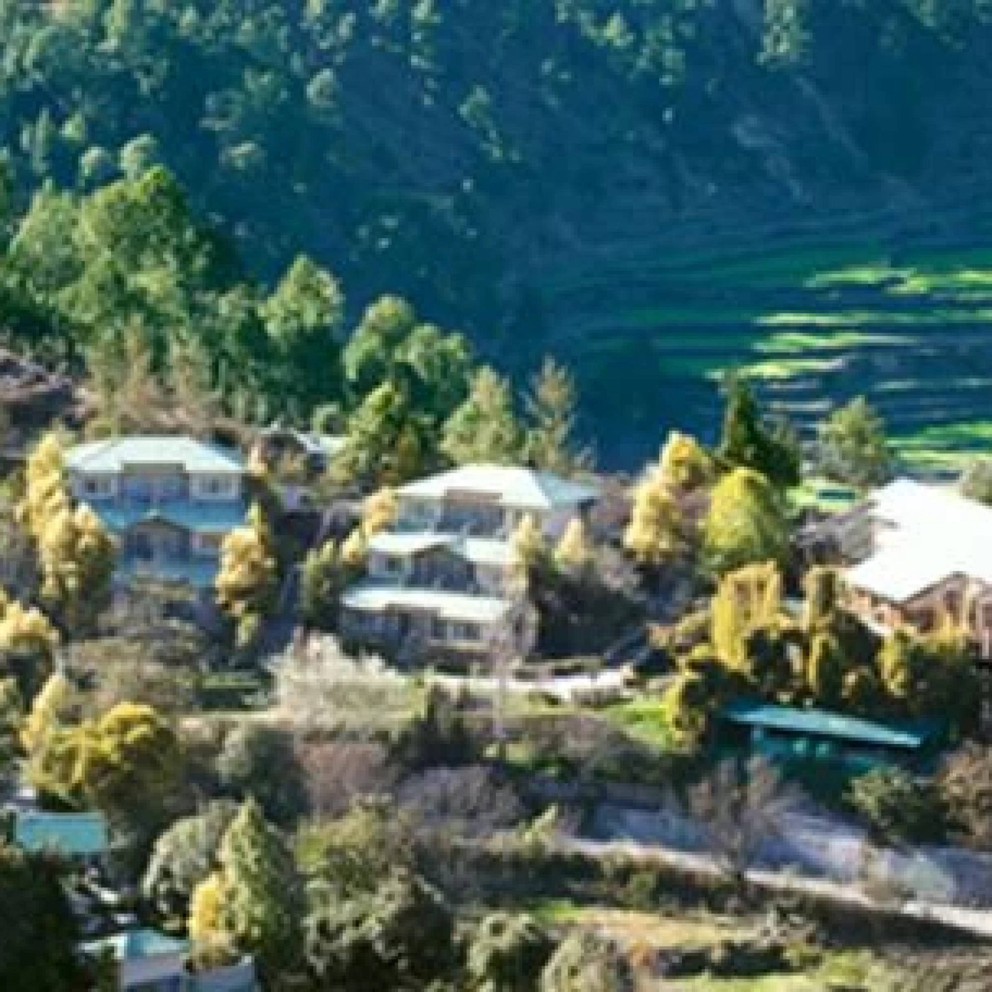 Club Mahindra Valley Resort Binsar 3*