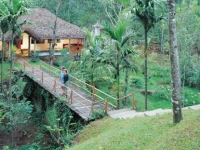 Shalimar Spice Garden 3*