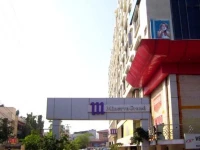 Minerva Grand 4*