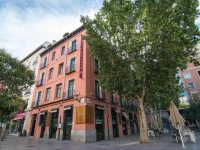 Petit Palace Plaza del Carmen 4*