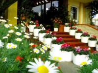 Villa  4*