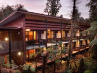 Te Waonui Forest Retreat 