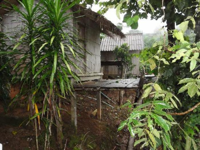 Akha Hill House 2*