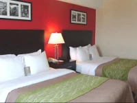 Comfort Hotel & Suites Peterborough 