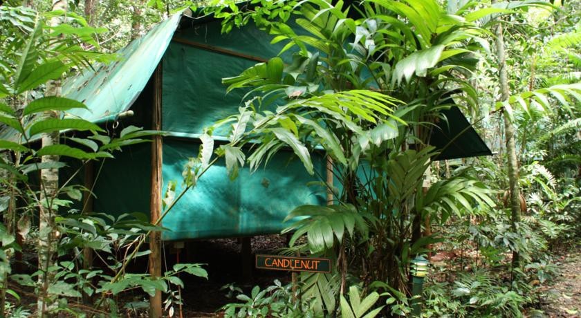 Daintree Crocodylus Village 2*