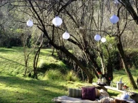 Cedars Mount View 4*