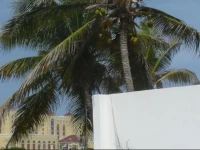 Karibu Aruba 2*