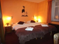 Hotel Cobut 1*