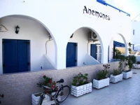 Anemones 3*