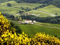 Agriturismo Podere Della Collina Palaia 
