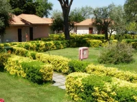 Bluegreen Village 