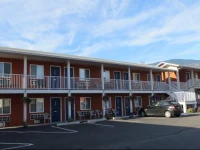 Cactus Tree Inn 2*
