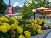 Travelers Motel Penticton 2*