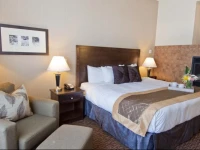 Comfort Inn & Suites Surrey 3*