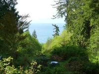 Ocean Wilderness Inn 3*