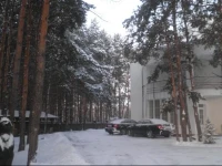 Гостиница Усадьба Еловое 3*