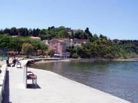 Fiesa 