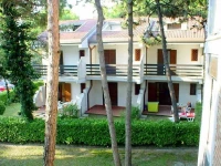 Carpinelle 
