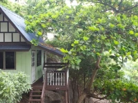 Nangyuan Island Dive Resort 3*