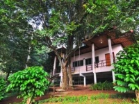 Khaosok Cheewalai Resort 3*