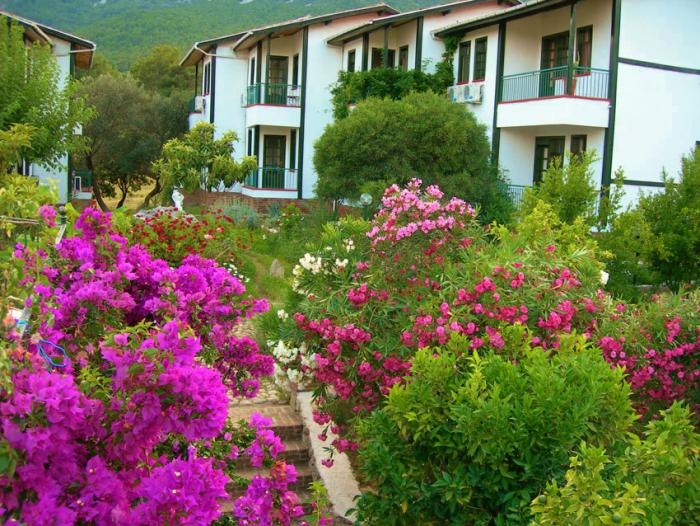Onuncu Koy Hotel Adrasan 2*