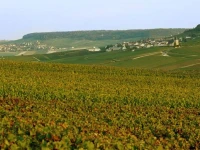 La Briqueterie Hostellerie 5*