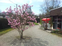 Le Mas Des Lilas 2*