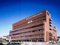Meitetsu Komaki Hotel 3*